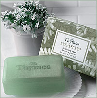 The Thymes 